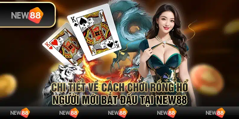 Chi Tiết Về Cách Chơi Rồng Hổ Người Mới Bắt Đầu Tại New88