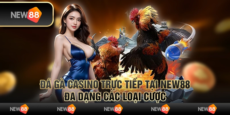 Đá Gà Casino Trực Tiếp Tại New88 - Đa Dạng Các Loại Cược