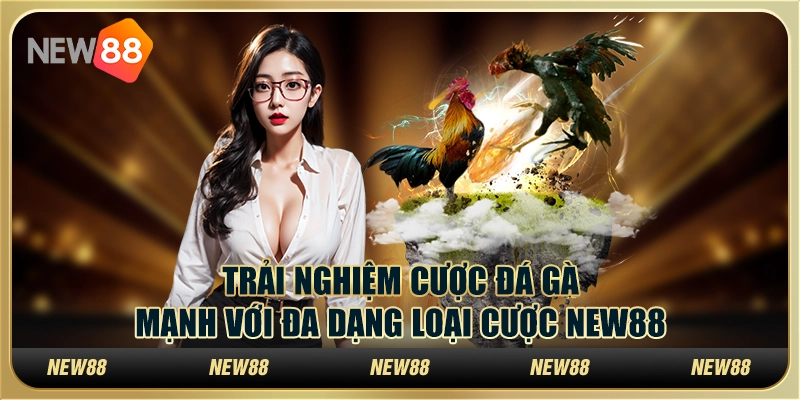 Trải Nghiệm Cược Đá Gà Mạnh Với Đa Dạng Loại Cược New88