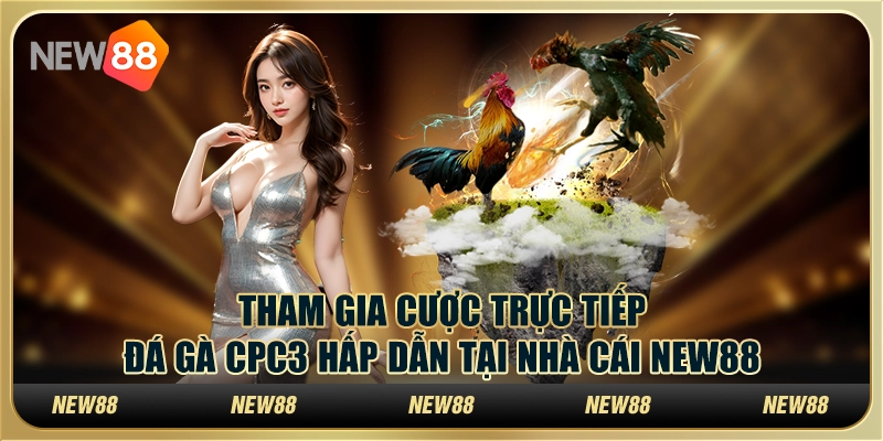 Tham Gia Cược Trực Tiếp Đá Gà Cpc3 Hấp Dẫn Tại Nhà Cái New88