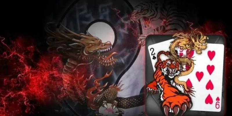 Hướng dẫn cơ bản về việc chọn nhà cái để chơi rồng hổ