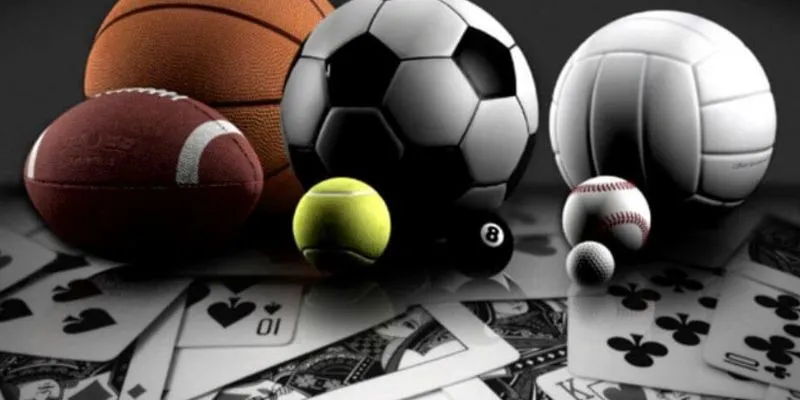 Đắm Chìm Trong Thế Giới Cá Cược Thể Thao New88 Độc Đáo 2 Trải nghiệm cược thể thao hấp dẫn tại đây