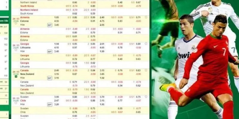 Đắm Chìm Trong Thế Giới Cá Cược Thể Thao New88 Độc Đáo 3 Nhiều lựa chọn cược thể thao đầy thú vị