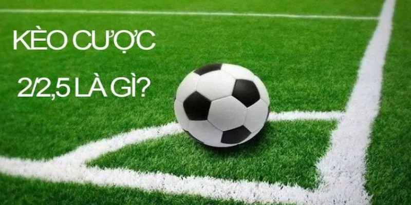 Tìm Hiểu Về Loại Kèo Chấp 2 2.5 Là Gì Trong Bóng Tại New88 3 Phân tích ưu nhược điểm của kèo chấp 2 2.5