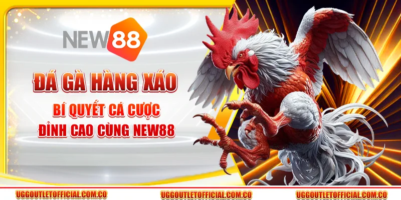 Đá Gà Hàng Xáo - Bí Quyết Cá Cược Đỉnh Cao Cùng New88 1 Đá Gà Hàng Xáo - Bí Quyết Cá Cược Đỉnh Cao Cùng New88