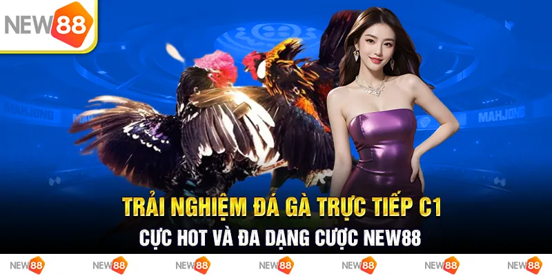 Trải Nghiệm Đá Gà Trực Tiếp C1 Cực Hot Và Đa Dạng Cược New88