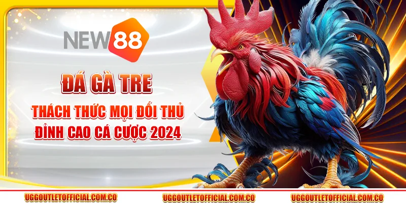 Đá Gà Tre - Thách Thức Mọi Đối Thủ, Đỉnh Cao Cá Cược 2024