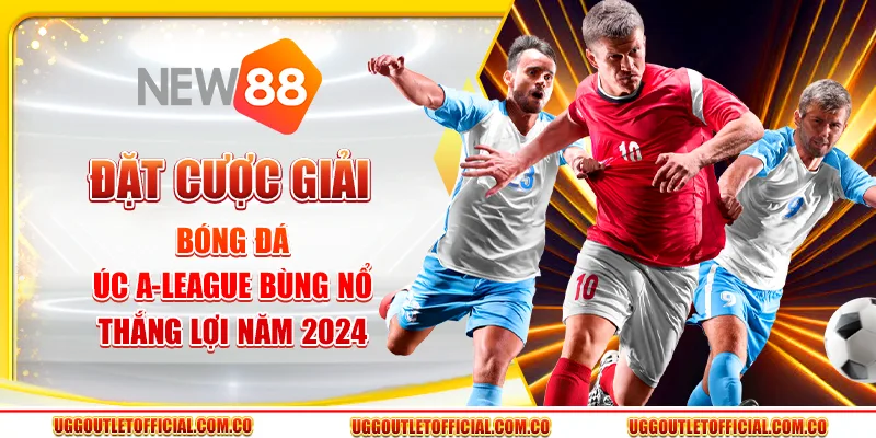 Đặt Cược Giải Bóng Đá Úc A-League - Bùng Nổ Thắng Lợi 2024