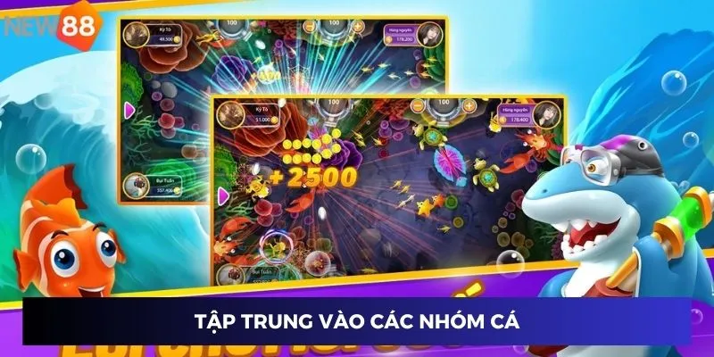 Bắn Cá Nổ Hũ - Vua Biển Cả, Nhận Thưởng Cực Lớn Tại New88 2 Tập trung vào các nhóm cá