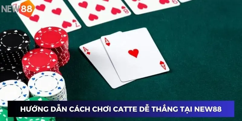 Tìm Hiểu Cách Chơi Catte Dễ Thắng Và Mẹo Hay Áp Dụng New88 2 Hướng dẫn cách chơi Catte dễ thắng