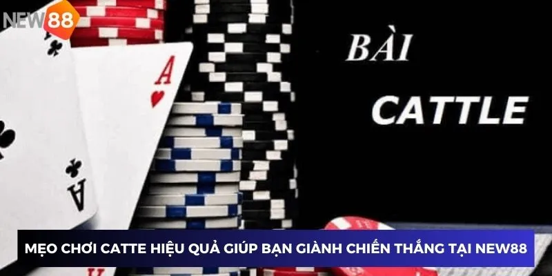 Tìm Hiểu Cách Chơi Catte Dễ Thắng Và Mẹo Hay Áp Dụng New88 3 Mẹo chơi Catte hiệu quả giúp bạn giành chiến thắng tại New88