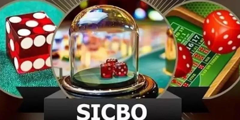 Khám Phá Cách Chơi Sicbo Xúc Xắc Cực Đơn Giản Tại New88 3 Có nhiều loại hình cược để bạn có thể lựa chọn