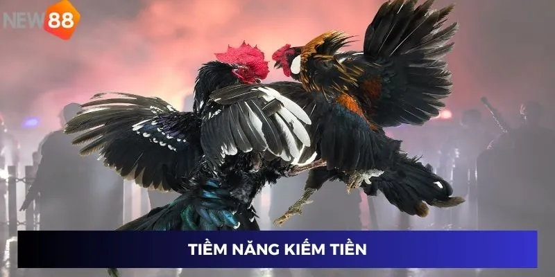 Đá Gà Hàng Xáo - Bí Quyết Cá Cược Đỉnh Cao Cùng New88 2 Tiềm năng kiếm tiền