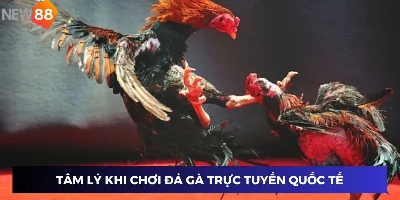 Tâm lý khi chơi đá gà trực tuyến quốc tế