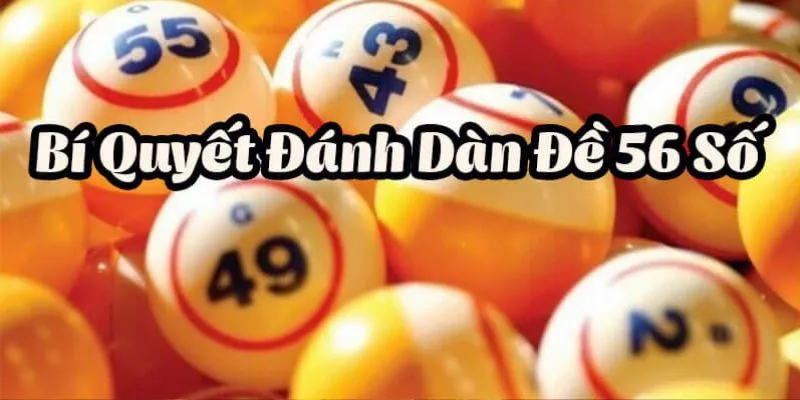 Tìm Hiểu Về Dàn Đề 56 Con Và Mẹo Hay Khi Chọn Tại New88 3 Mẹo nuôi dàn đề 56 số hiệu quả chất lượng