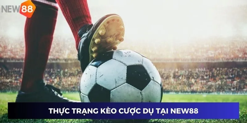 Thực trạng kèo cược dụ