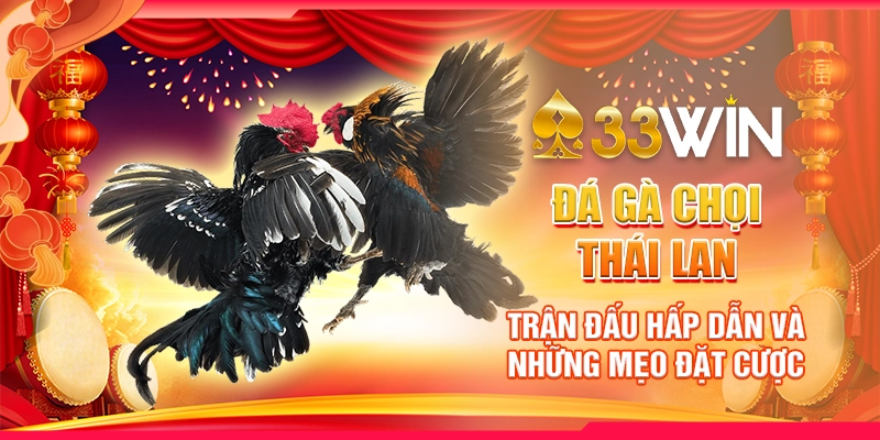 Đá Gà Chọi Thái Lan – Trận Đấu Hấp Dẫn Và Những Mẹo Đặt Cược 1 Đá Gà Chọi Thái Lan – Trận Đấu Hấp Dẫn Và Những Mẹo Đặt Cược