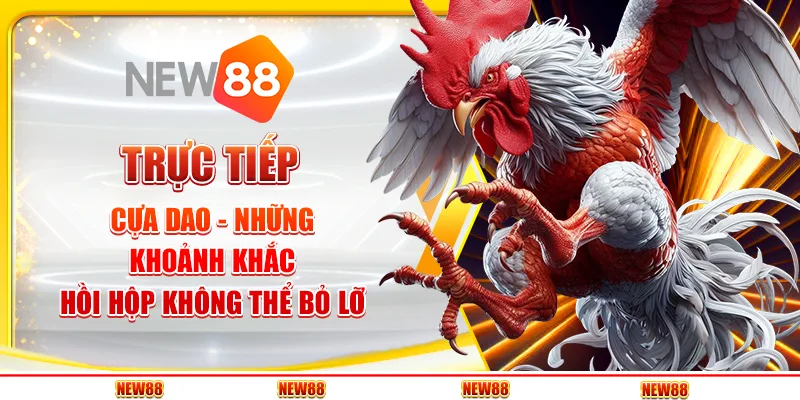 Trực Tiếp Cựa Dao - Những Khoảnh Khắc Hồi Hộp Không Thể Bỏ Lỡ 1 Trực Tiếp Cựa Dao - Những Khoảnh Khắc Hồi Hộp Không Thể Bỏ Lỡ