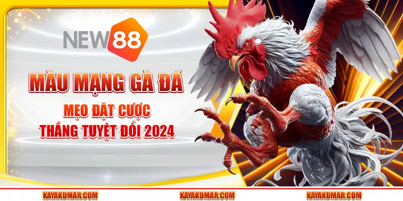 Màu Mạng Gà Đá - Mẹo Đặt Cược Thắng Tuyệt Đối 2024 1 Màu Mạng Gà Đá - Mẹo Đặt Cược Thắng Tuyệt Đối 2024