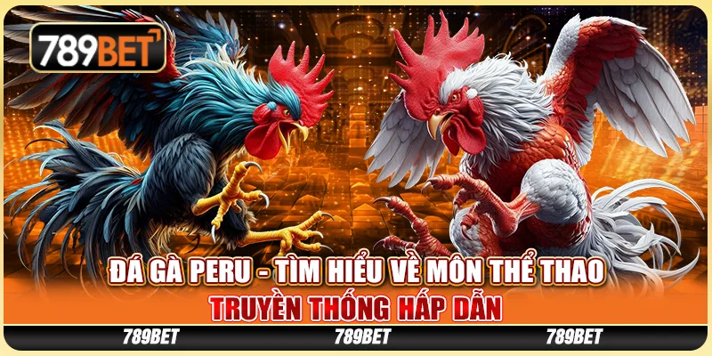 Đá Gà Peru - Tìm Hiểu Về Môn Thể Thao Truyền Thống Hấp Dẫn 10 Đá gà Peru