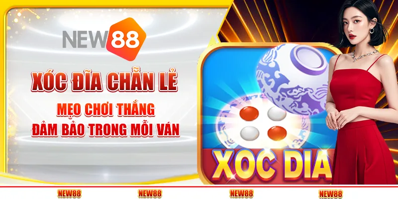 Xóc đĩa chẵn lẻ tại New88 - Bí quyết chơi thắng từng ván