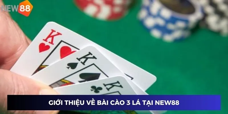 Giới thiệu về Bài cào 3 lá tại New88