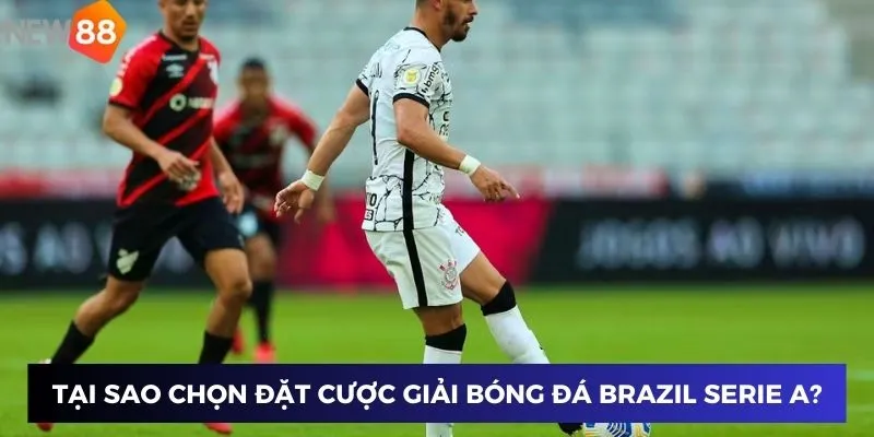 Tại sao chọn đặt cược giải bóng đá Brazil Serie A New88?