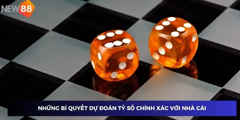 Dự đoán tỷ số chính xác tại New88 - Bí quyết tăng tỷ lệ thắng cược 3 Những bí quyết dự đoán tỷ số chính xác với nhà cái