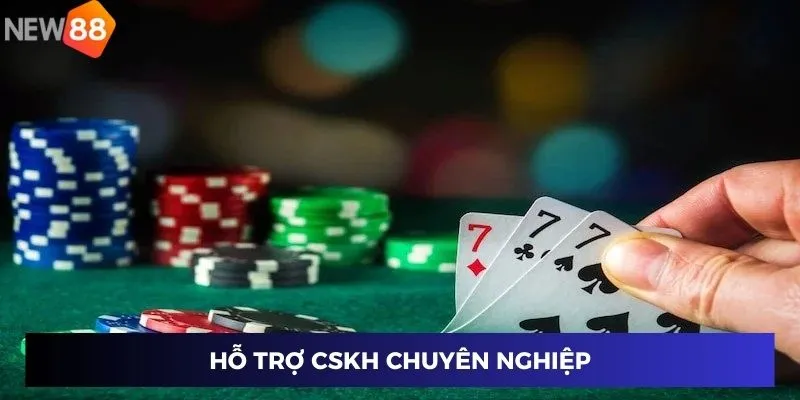Hỗ trợ CSKH chuyên nghiệp