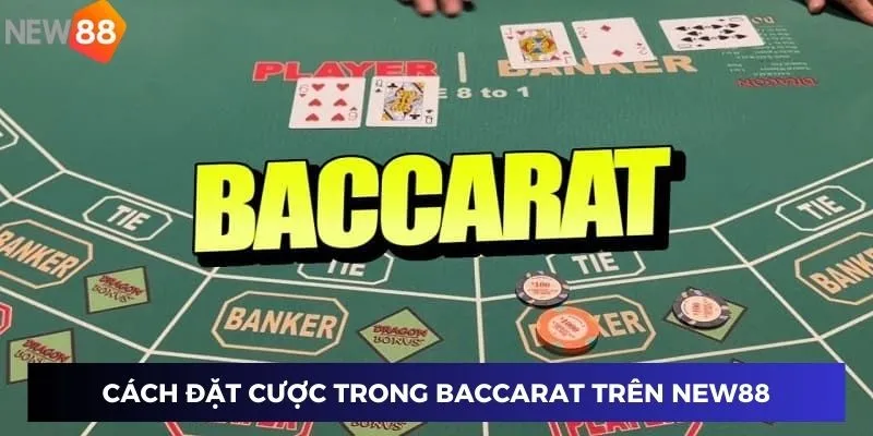 Cách đặt cược trong baccarat trên hệ thống New88