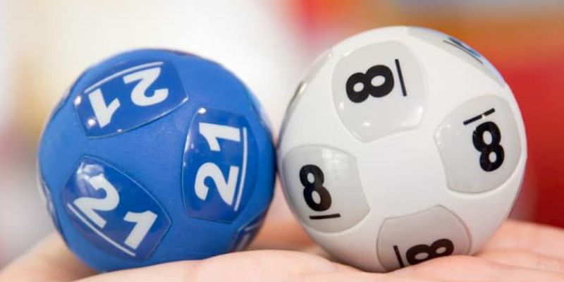 Người mới có thể tham khảo cách chơi từ cao thủ