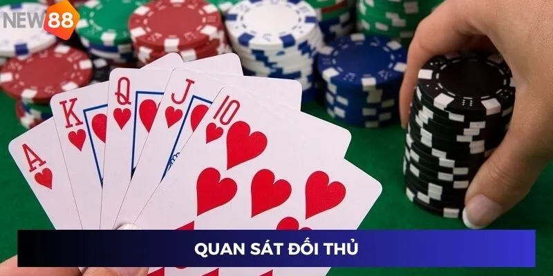 Mẹo Chơi Mậu Binh - Bí Kíp Cao Thủ Thắng Lớn Ở New88 3 Quan sát đối thủ