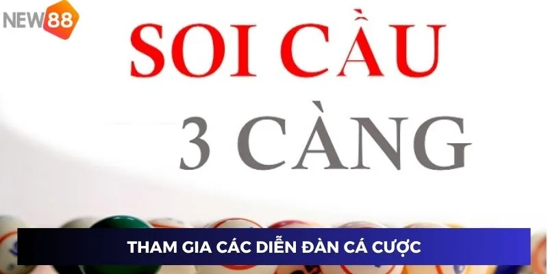 Tham gia các diễn đàn cá cược