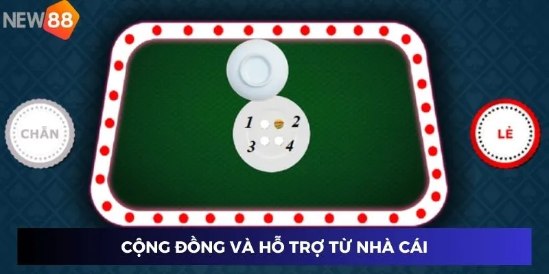 Cộng đồng và hỗ trợ từ nhà cái