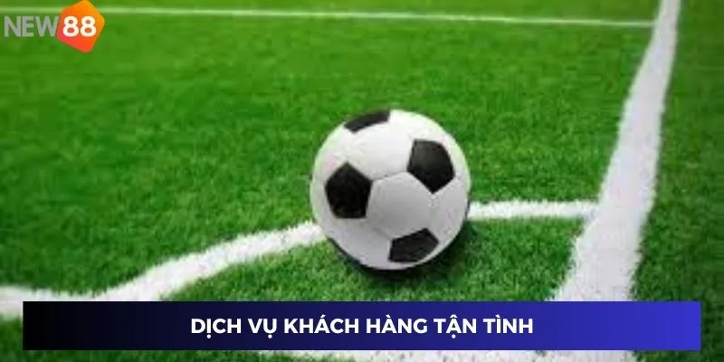 Dịch vụ khách hàng tận tình