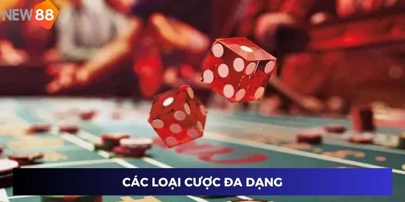 Các loại cược đa dạng