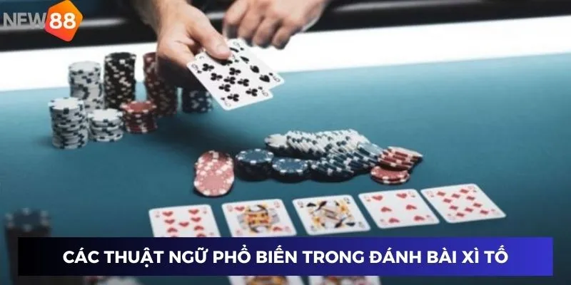 Các thuật ngữ phổ biến trong đánh bài xì tố
