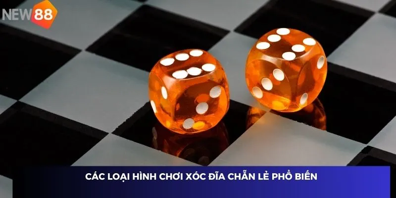 Các loại hình chơi xóc đĩa chẵn lẻ phổ biến