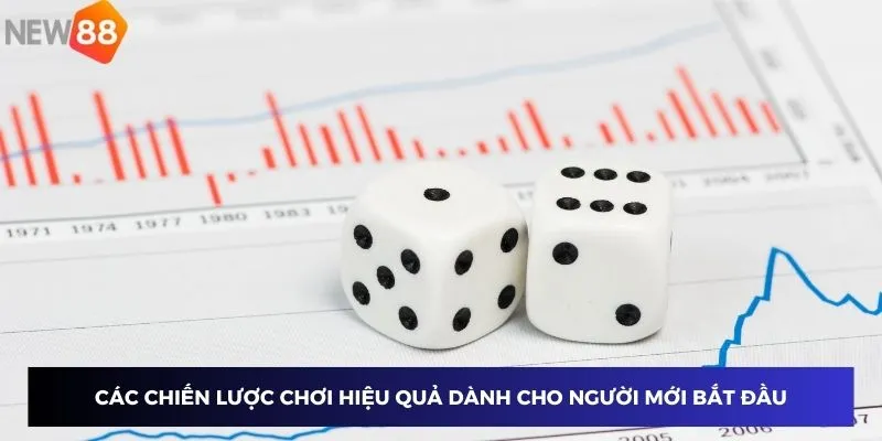 Các chiến lược chơi hiệu quả dành cho người mới bắt đầu