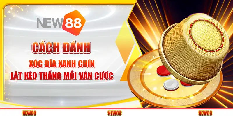 Cách Đánh Xóc Đĩa Xanh Chín – Lật Kèo Thắng Mỗi Ván Cược