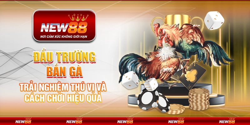 Đấu Trường Bắn Gà – Trải Nghiệm Thú Vị và Cách Chơi Hiệu Quả