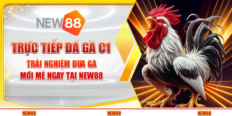 Trực Tiếp Đá Gà C1 – Trải Nghiệm Đua Gà Mới Mẻ Ngay Tại New88