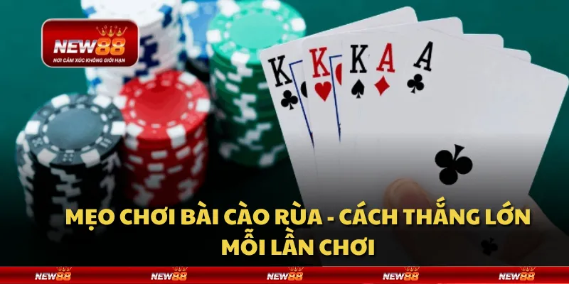 Mẹo chơi bài Cào Rùa - Cách thắng lớn mỗi lần chơi