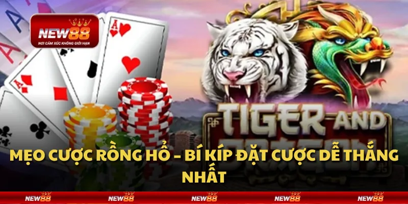 Mẹo cược Rồng Hổ – Bí kíp đặt cược dễ thắng nhất 7 Mẹo cược Rồng Hổ – Bí kíp đặt cược dễ thắng nhất