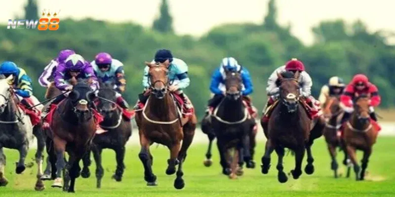 Những cuộc đua ngựa hấp dẫn tại New88