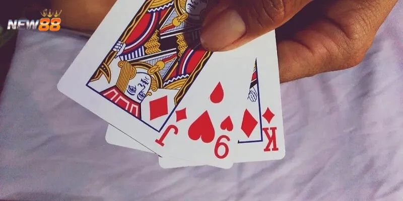 Vì sao bài cào rùa được nhiều người yêu thích?