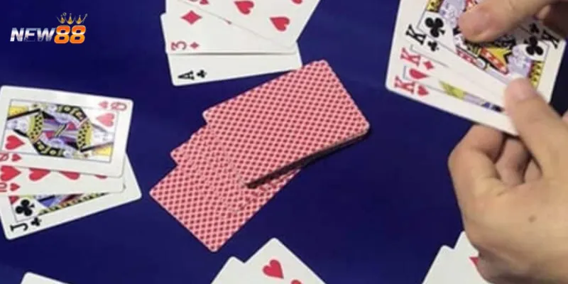 Tiết lộ mẹo chơi bài cào rùa mang lại chiến thắng liên tiếp