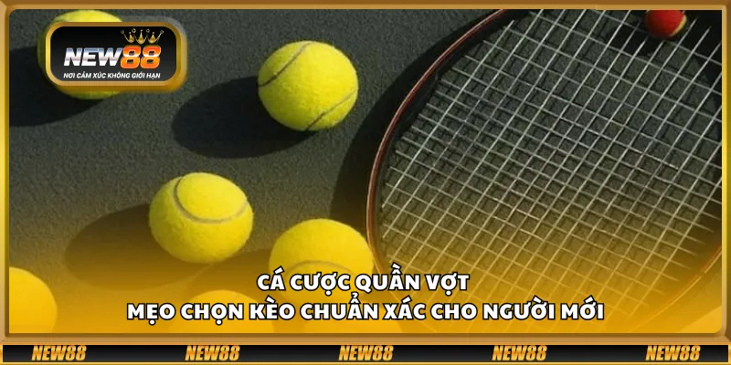 Cá cược quần vợt - Mẹo chọn kèo chuẩn xác cho người mới 4 Cá cược quần vợt - Mẹo chọn kèo chuẩn xác cho người mới