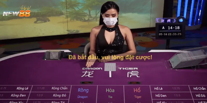 Cách soi cầu Rồng Hổ – Mẹo chọn cửa chuẩn xác từng ván 3 Tổng hợp những cách soi cầu Rồng Hổ dễ áp dụng