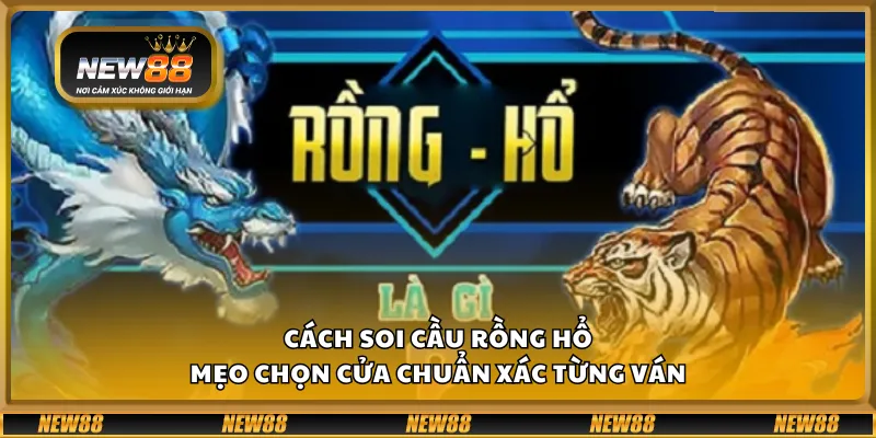 Cách soi cầu Rồng Hổ – Mẹo chọn cửa chuẩn xác từng ván 2 Cách soi cầu Rồng Hổ – Mẹo chọn cửa chuẩn xác từng ván